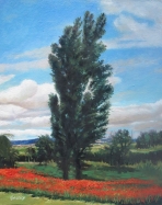 tree with orange flowers
